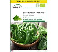 SAFLAX Ensemble de culture - BIO - Epinard - Matador - 300 graines - Spinacia