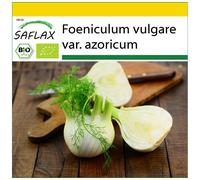SAFLAX - Ensemble de culture - BIO - Fenouil doux - 100 graines - Avec mini serre, substrat de culture et 2 pots - Foeniculum vulgare var. azoricum