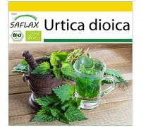SAFLAX - Ensemble de culture - BIO - Grande ortie - 2000 graines - Avec mini serre, substrat de culture et 2 pots - Urtica dioica