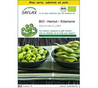 SAFLAX Ensemble de culture - BIO - Haricot – Edamame - 8 graines - Glycine