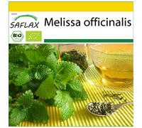 SAFLAX - Ensemble de culture - BIO - Mélisse officinale - 1000 graines - Avec mini serre, substrat de culture et 2 pots - Melissa officinalis