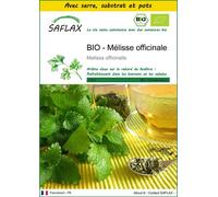 SAFLAX Ensemble de culture - BIO - Mélisse officinale - 1000 graines - Melissa