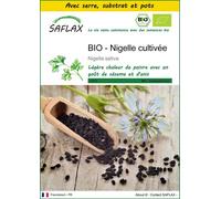 SAFLAX Ensemble de culture - BIO - Nigelle cultivée - 300 graines - Nigella