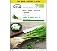 SAFLAX Ensemble de culture - BIO - Oignon - Blanc de Lisbonne - 150 graines - Allium