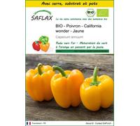 SAFLAX Ensemble de culture - BIO - Poivron - California wonder - Jaune - 20 graines - Capsicum