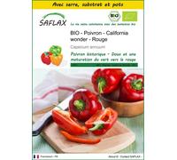 SAFLAX Ensemble de culture - BIO - Poivron - California wonder - Rouge - 20 graines - Capsicum