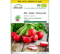 SAFLAX Ensemble de culture - BIO - Radis - Cherry bell - 100 graines - Raphanus