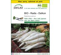 SAFLAX Ensemble de culture - BIO - Radis - Daïkon - 100 graines - Raphanus
