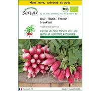 SAFLAX Ensemble de culture - BIO - Radis - French breakfast - 150 graines - Raphanus