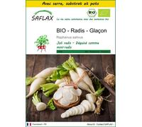 SAFLAX Ensemble de culture - BIO - Radis - Glaçon - 100 graines - Raphanus