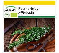 SAFLAX - Ensemble de culture - BIO - Romarin - 40 graines - Avec mini serre, substrat de culture et 2 pots - Rosmarinus officinalis