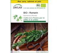 SAFLAX Ensemble de culture - BIO - Romarin - 40 graines - Rosmarinus