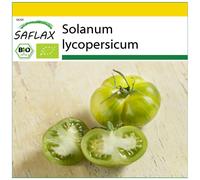 SAFLAX - Ensemble de culture - BIO - Tomate - Verte zébrée - 10 graines - Avec mini serre, substrat de culture et 2 pots - Solanum lycopersicum