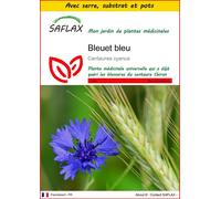 SAFLAX Ensemble de culture - Bleuet bleu - 27000 graines - Centaurea