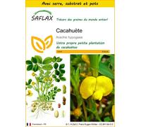 SAFLAX Ensemble de culture - Cacahuète - 8 graines - Arachis