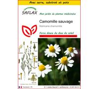 SAFLAX Ensemble de culture - Camomille sauvage - 300 graines - Matricaria