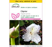 SAFLAX Ensemble de culture - Câprier - 25 graines - Capparis