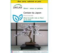 SAFLAX Ensemble de culture - Cerisier du Japon - 30 graines - Prunus