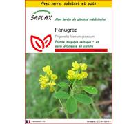 SAFLAX Ensemble de culture - Fenugrec - 100 graines - Trigonella