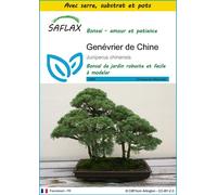 SAFLAX Ensemble de culture - Genévrier de Chine - 30 graines - Juniperus