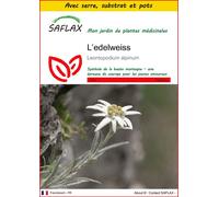 SAFLAX Ensemble de culture - L’edelweiss - 500 graines - Leontopodium