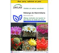 SAFLAX Ensemble de culture - Mélange de Mammillaria - 40 graines - Mammilaria