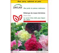 SAFLAX Ensemble de culture - Mélange de roses trémières - 100 graines - Alcea