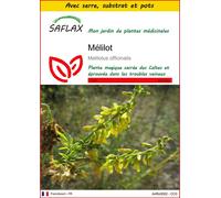 SAFLAX Ensemble de culture - Mélilot - 250 graines - Melilotus