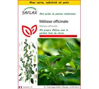 SAFLAX Ensemble de culture - Mélisse officinale - 150 graines - Melissa