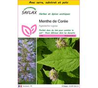 SAFLAX Ensemble de culture - Menthe de Corée - 1200 graines - Agastache