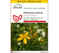 SAFLAX Ensemble de culture - Millepertuis perforé - 300 graines - Hypericum