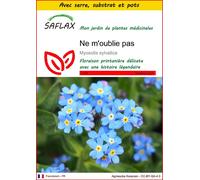 SAFLAX Ensemble de culture - Ne m'oublie pas - 150 graines - Myosotis