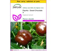 SAFLAX Ensemble de culture - Paprika - Sweet Chocolate X - 10 graines - Capsicum