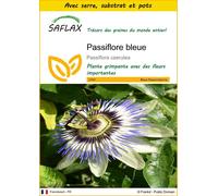 SAFLAX Ensemble de culture - Passiflore bleue - 25 graines - Passiflora