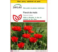 SAFLAX Ensemble de culture - Pavot de maïs - 27000 graines - Papaver