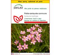 SAFLAX Ensemble de culture - Petite-centaurée commune - 250 graines - Centaurium