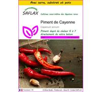 SAFLAX Ensemble de culture - Piment de Cayenne - 20 graines - Capsicum