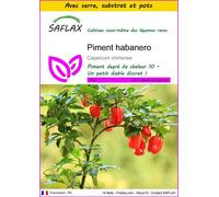 SAFLAX Ensemble de culture - Piment habanero - 10 graines - Capsicum