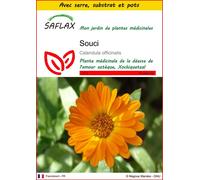 SAFLAX Ensemble de culture - Souci - 50 graines - Calendula