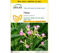 SAFLAX Ensemble de culture - Tabac - 250 graines - Nicotiana