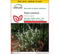 SAFLAX Ensemble de culture - Thym commun - 200 graines - Thymus