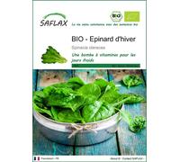 SAFLAX -- Epinard d'hiver - 250 graines - Spinacia