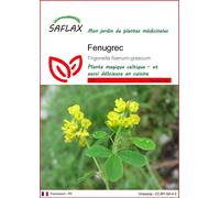 SAFLAX - Fenugrec - 100 graines - Trigonella