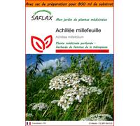 SAFLAX Garden in the bag - Achillée millefeuille - 200 graines - Achillea