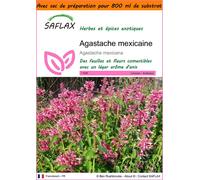 SAFLAX Garden in the bag - Agastache mexicaine - 50 graines - Agastache