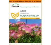 SAFLAX Garden in the bag - Albizia - 50 graines - Albizia