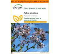 SAFLAX Garden in the bag - Arbre impérial - 200 graines - Paulownia