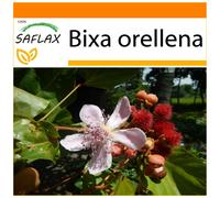 SAFLAX - Garden in the bag - Arbre rouge à lèvre - 20 graines - Avec substrat de culture dans un sac pratique à montage automatique - Bixa orellena
