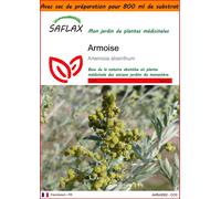 SAFLAX Garden in the bag - Armoise - 500 graines - Artemisia