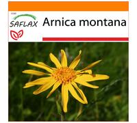 SAFLAX - Garden in the bag - Arnica des montagnes - 40 graines - Avec substrat de culture dans un sac pratique à montage automatique - Arnica montana